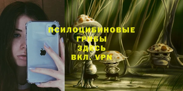 молекула духа Алексин